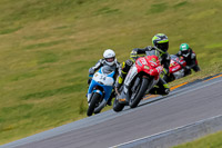 PJ-Motorsport-2019;anglesey-no-limits-trackday;anglesey-photographs;anglesey-trackday-photographs;enduro-digital-images;event-digital-images;eventdigitalimages;no-limits-trackdays;peter-wileman-photography;racing-digital-images;trac-mon;trackday-digital-images;trackday-photos;ty-croes